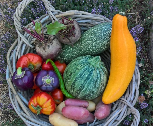 les jardins du bord de Loire