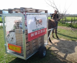 Jardin de Curiosités