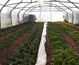 Les Jardins de Lilie