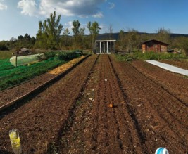 Les Jardins de Lilie