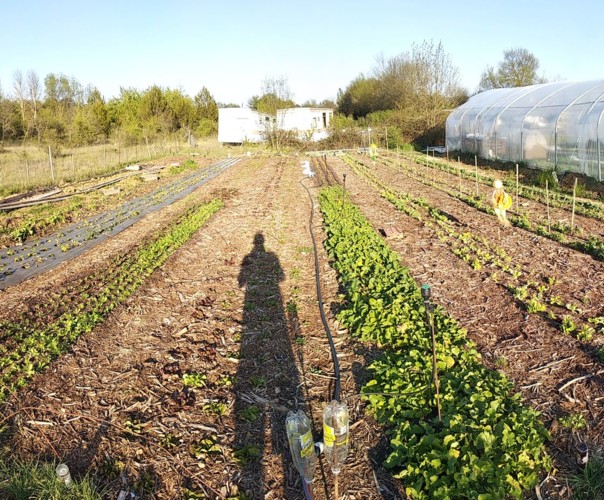 Les Jardins de Lilie