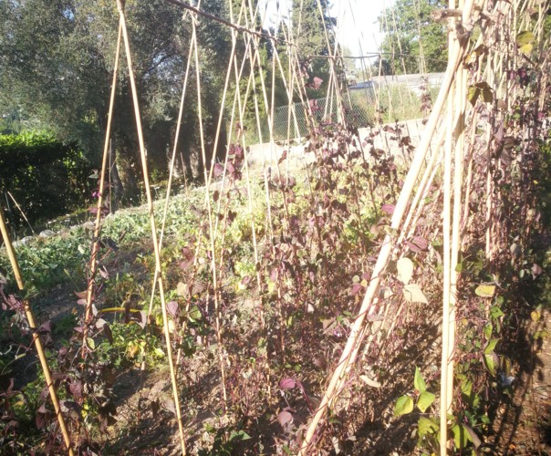 le jardin du candeou