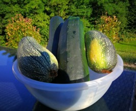 Légume de Bellecombe