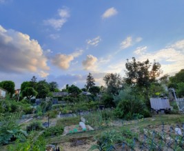 Le potager enchanté