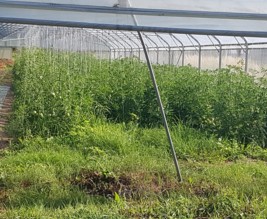 La Ferme de l'Aubette