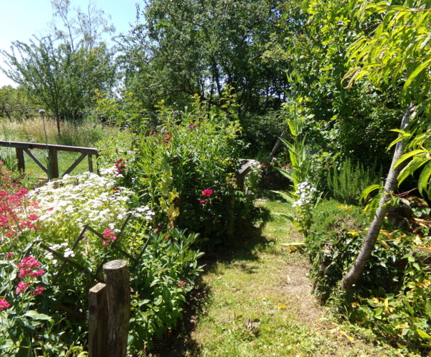 jardin de Virginie