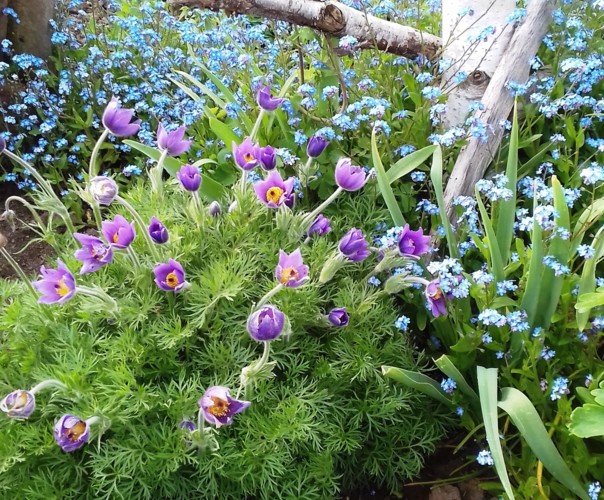 Jardin éco-nature-bio