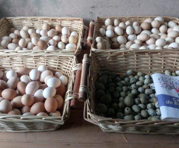 Jardin fermier les mille idées