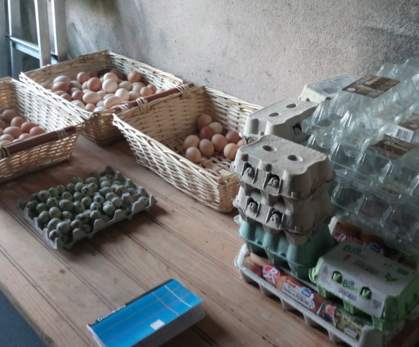 jardin fermier Les mille idées