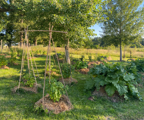 Château de la Borie