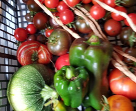 le jardin de Samsara