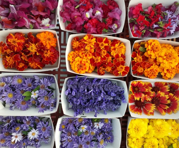 Les Paniers du Maquis