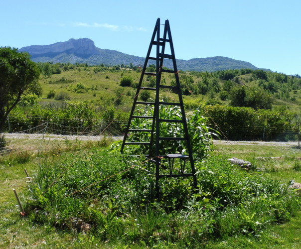 Potager de la belle Hébé