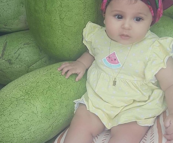 Pastèque-Melon-Courges-Tomate-Concombre.