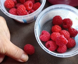 Jardin du Pays de Nay