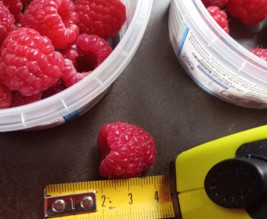 Jardin du Pays de Nay