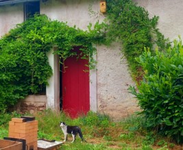 La vieille demeure de Suzan, mésanges et hérissons