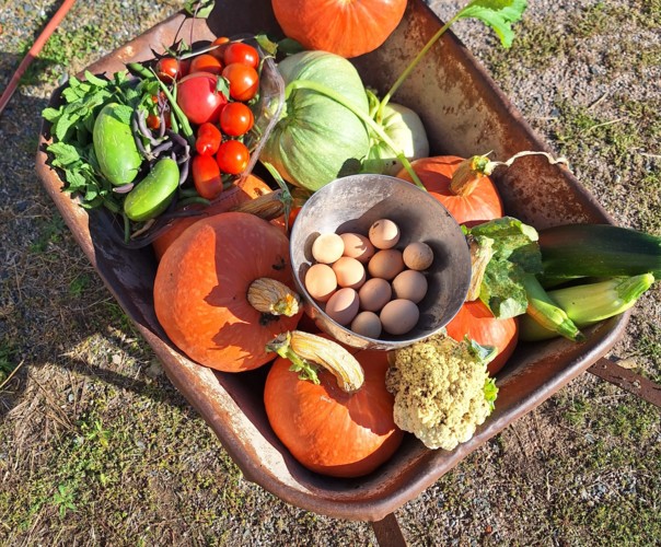 Le jardin des saveurs