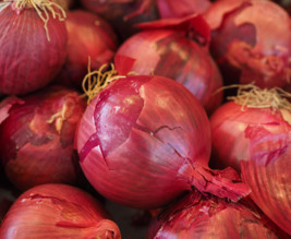 Oignons rouges