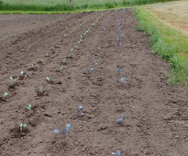 Ferme de la fontaine