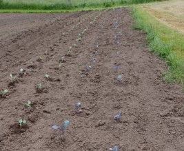 Ferme de la fontaine