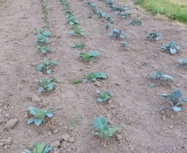Ferme de la fontaine