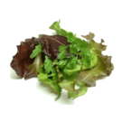 Salade  Mesclun  