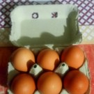 Oeufs  6 GROS OEUFS , GRANDE QUALITE  