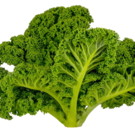 Choux  Choux Kale en Branches  