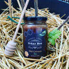 Miel  Cremeux BIO au Cacao Criollo  