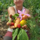 Divers  Collecte et Préparation de votre panier  