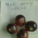 Graines  tomate blue berry en sachets de 30 graines  