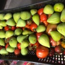 Figues  Noire ou verte  